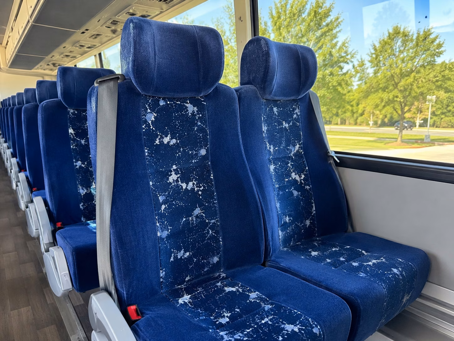 charter bus rentals for pueblo zoo field trips